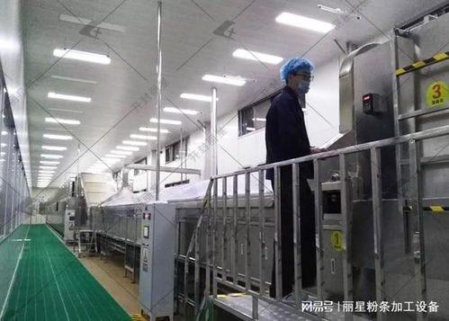 洋芋粉丝粉条机选购指南 性能、服务、价格如何权衡，告别后悔选择